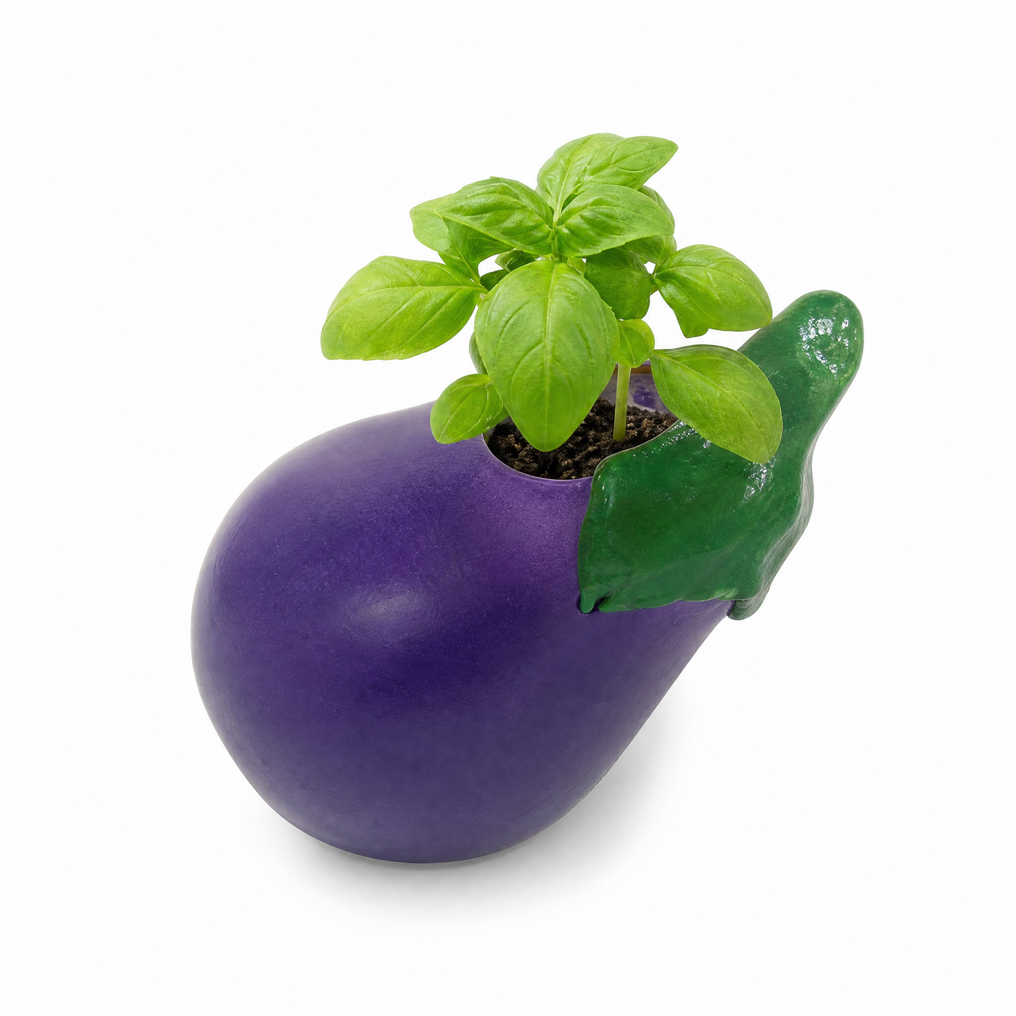 Cute Veggie Garden Planter